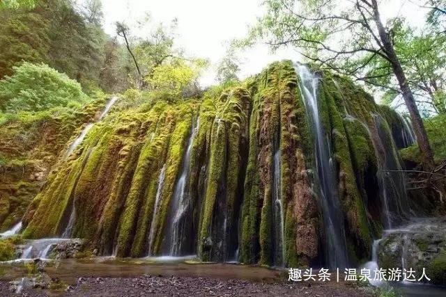迷雾求生